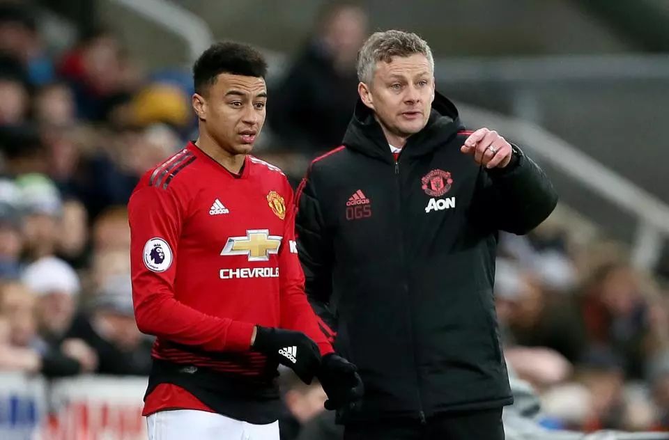 往会引发广 往会引发广